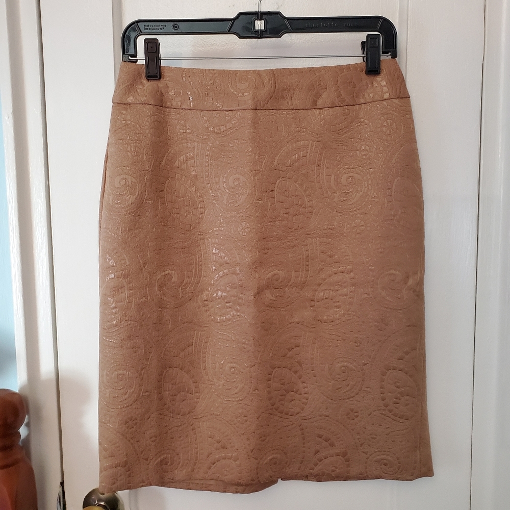 Banana Republic Skirt